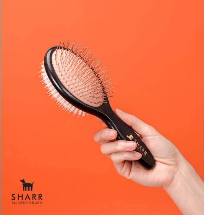 SHARR ブラシ 黒/オレンジ【即日発送】