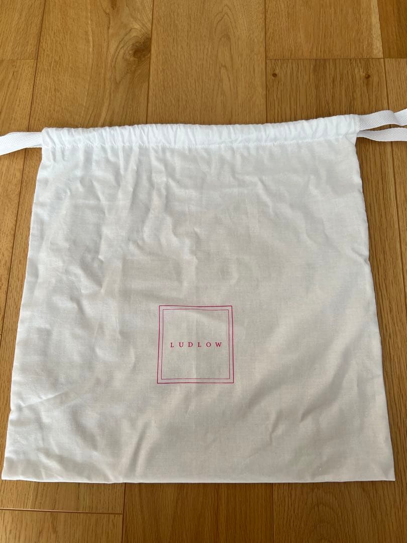 レア　美品　LUDLOW ラドロー　cat キャット　バッグ