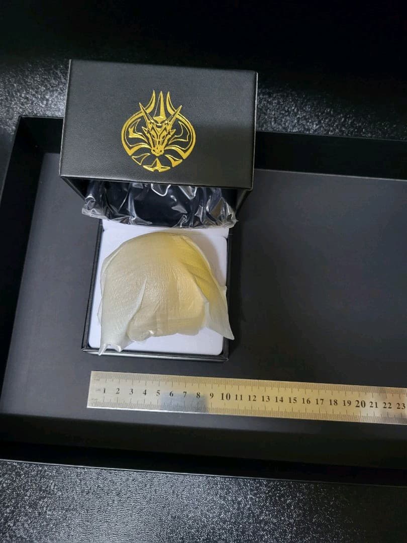 ドラゴンクエスト ドラゴンオーブ