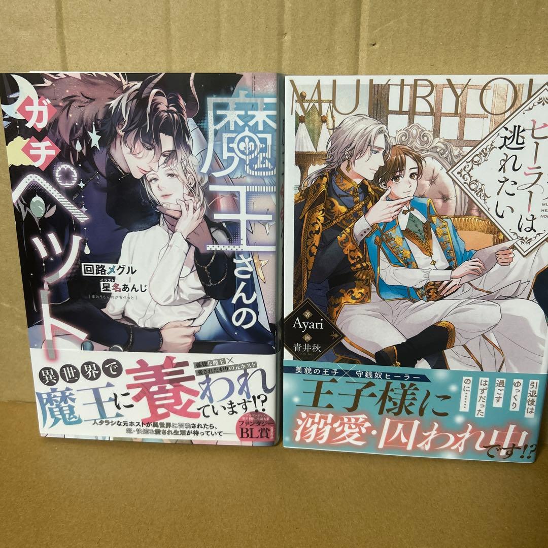 bl 小説纏め売り　15冊セット！