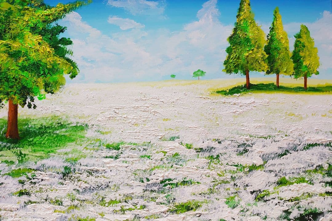 油絵 絵画 咲いた白の広場【Ａ3】