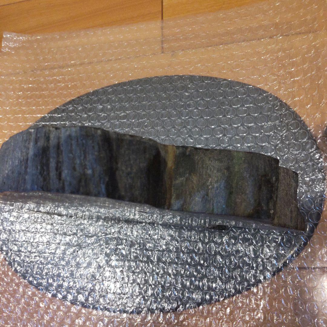 化石(樹木)6月 価格