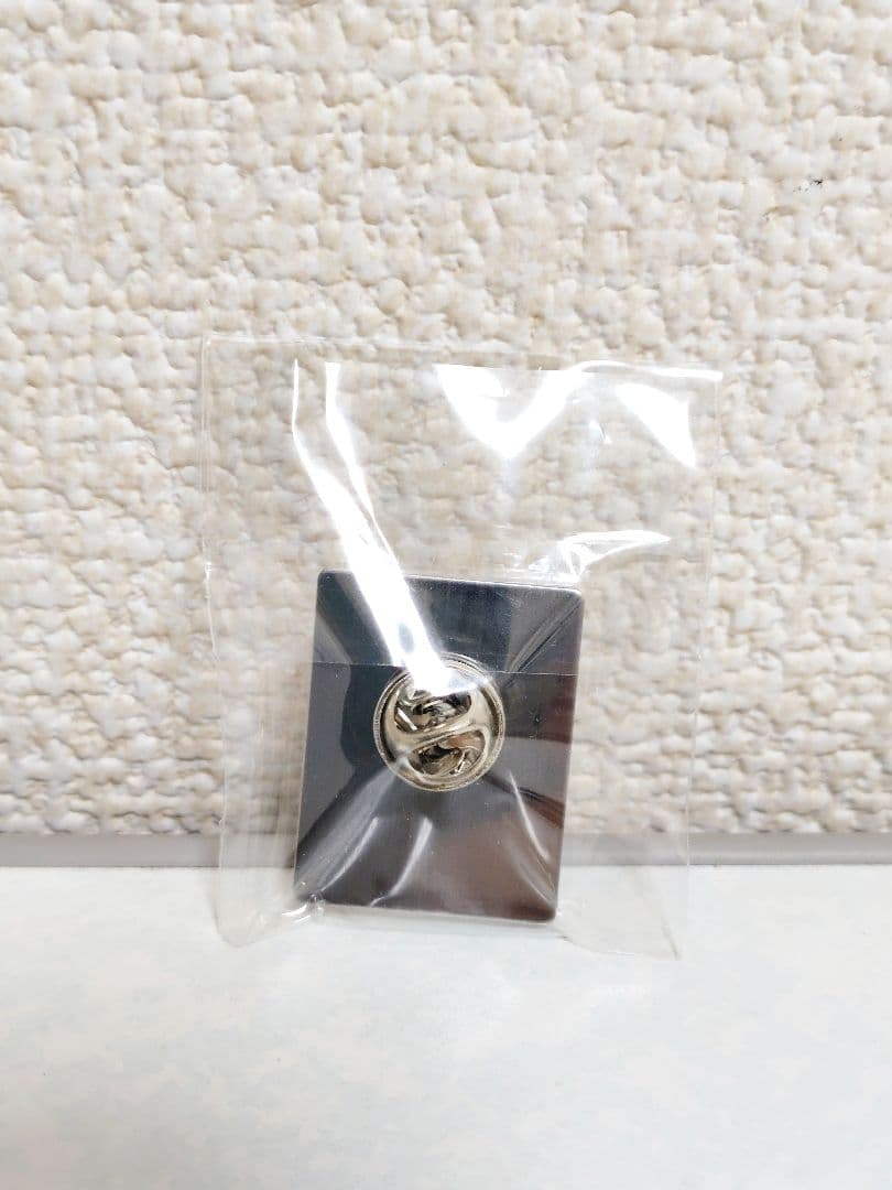 万博 アイルランド館 ピンバッジ 非売品 EXPO2025