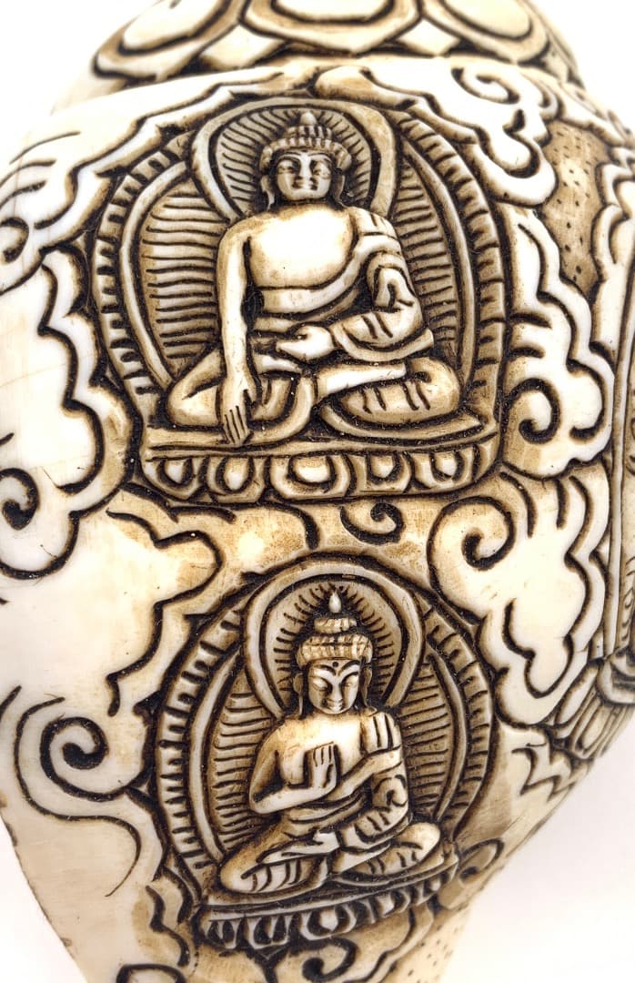 ◇チベット密教法具 法螺貝（シャンカ）ブッダ 釈迦如来 五智如来 五仏-5