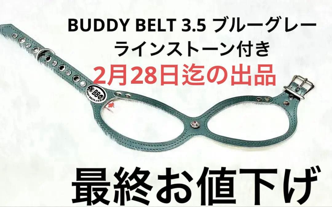 BUDDY BELT 3.5 ブルーグレーラインストーン付き BUDDY BELT 3.5 ブルーグレーラインストーン付き