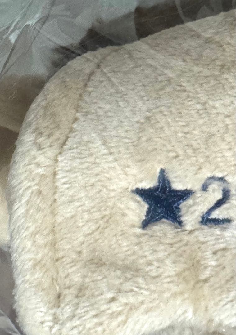 BAYFLOW限定 ギズモ ぬいぐるみ ⭐︎ ブラウン　25cm グレムリン