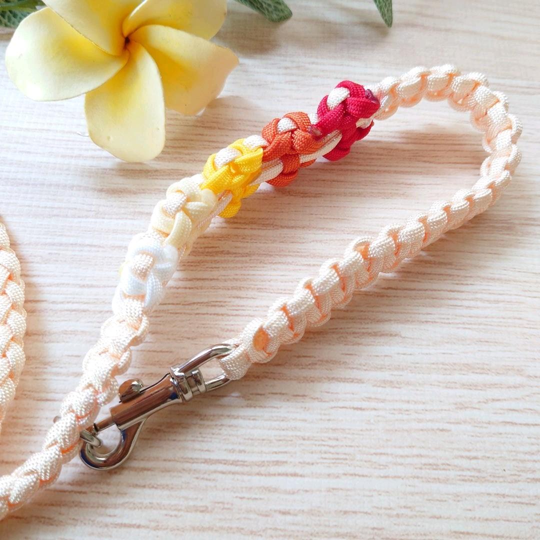 パラコードリード カフェリード レッド系カラー №065