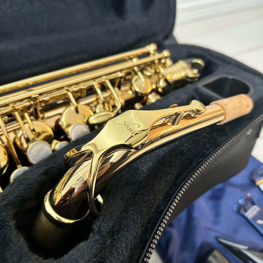 ブロンズ【美品】Festi Tiara A アルトサックス　島村楽器　ベトナム製