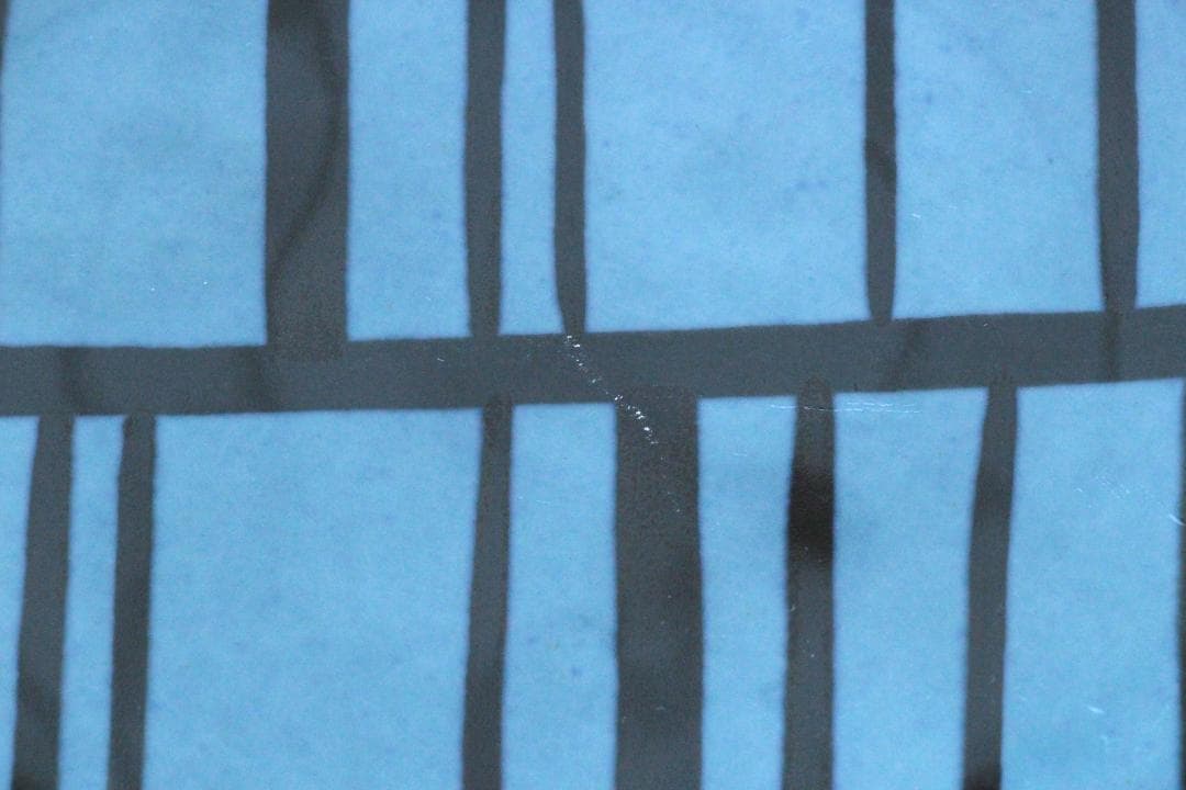 Lisa Larson リサラーソン Stim スティム プレート 魚 a