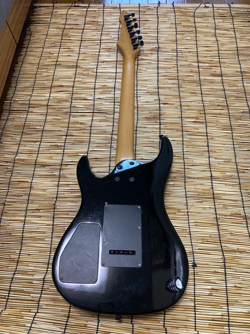 ☆新機能満載 VA-453カスタマイズしたAriaPro II ST