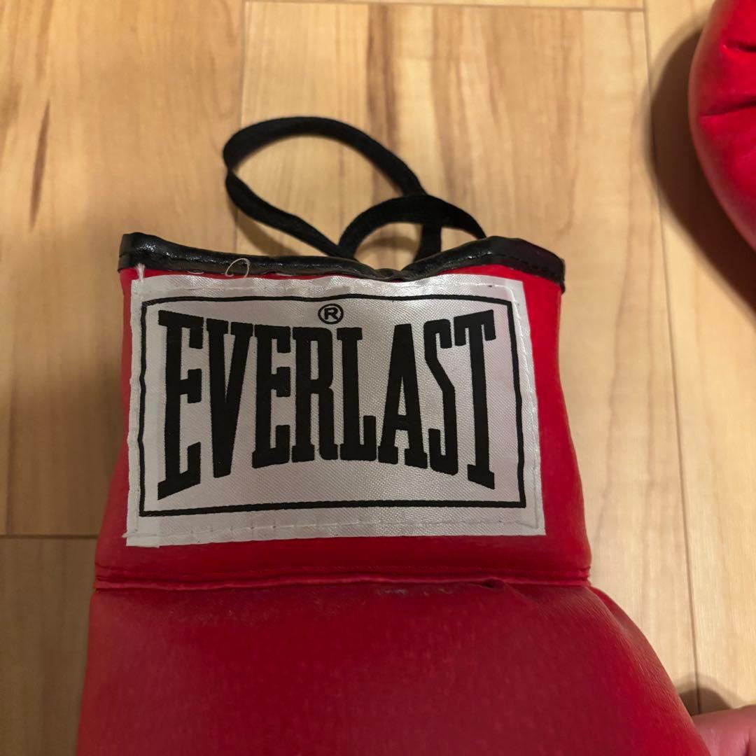 EVERLAST オスカー・デ・ラ・ホーヤ 直筆サイン入り グローブ 14oz