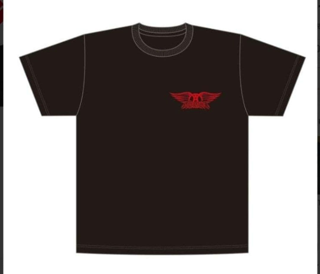 【非売品・未開封・激レア】エアロスミス 復刻20タイトルジャケ写 Tシャツ L