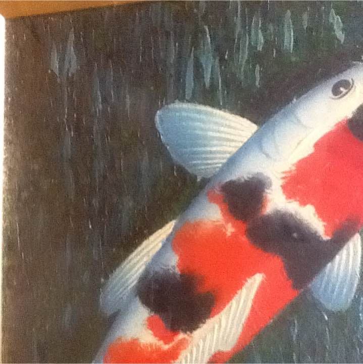 昭和レトロ 日本 絵画 油絵 錦鯉 锦鲤 Nishikigoi - メルカリ