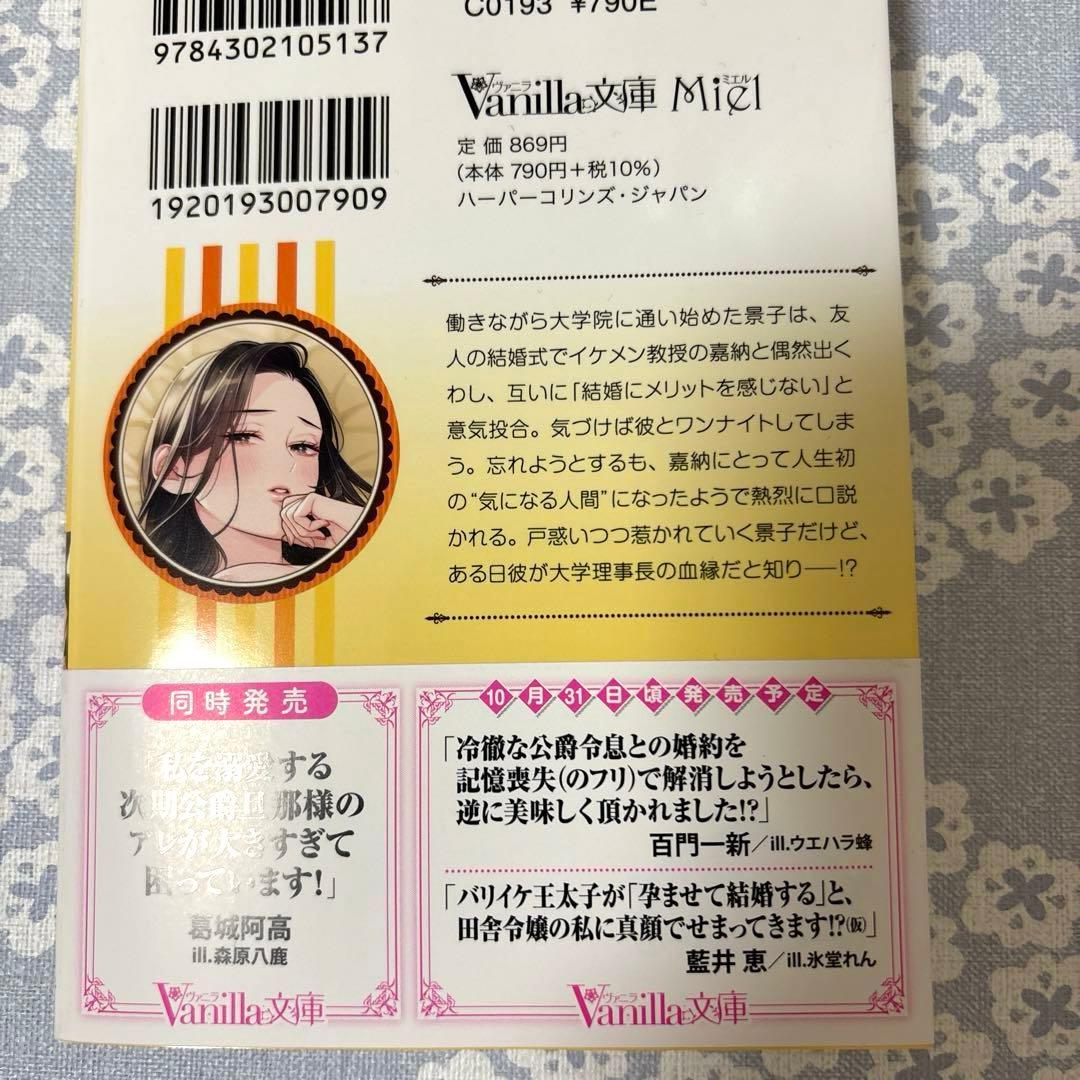 専用】エタニティブックス・ルネッタブックス・ヴァニラ文庫 11月新刊