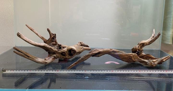 ADAホーンウッド14本