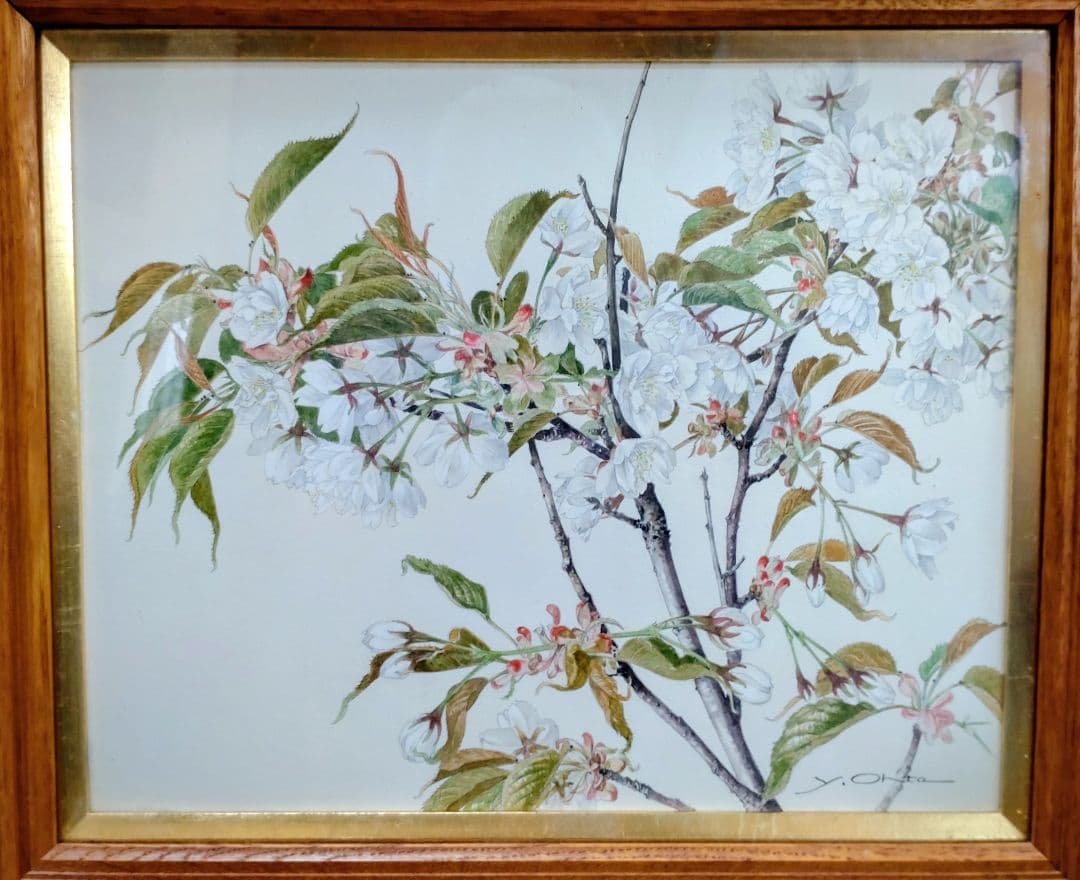 太田洋愛　ボタニカルアート第一人者の原画F3号