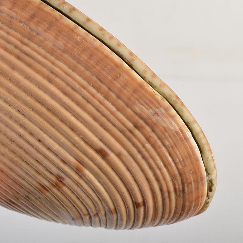 茶道具　正孝作　御所車絵　貝合わせ香合　堀内宗完(兼中斎)極め箱　C　6739