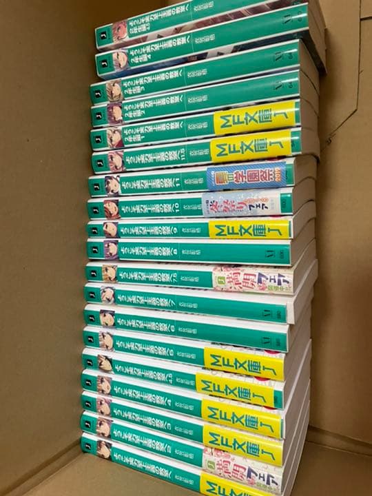 ヴァンゴッホウォッカ Van Gogh Vodka木箱入りミニ10本セット