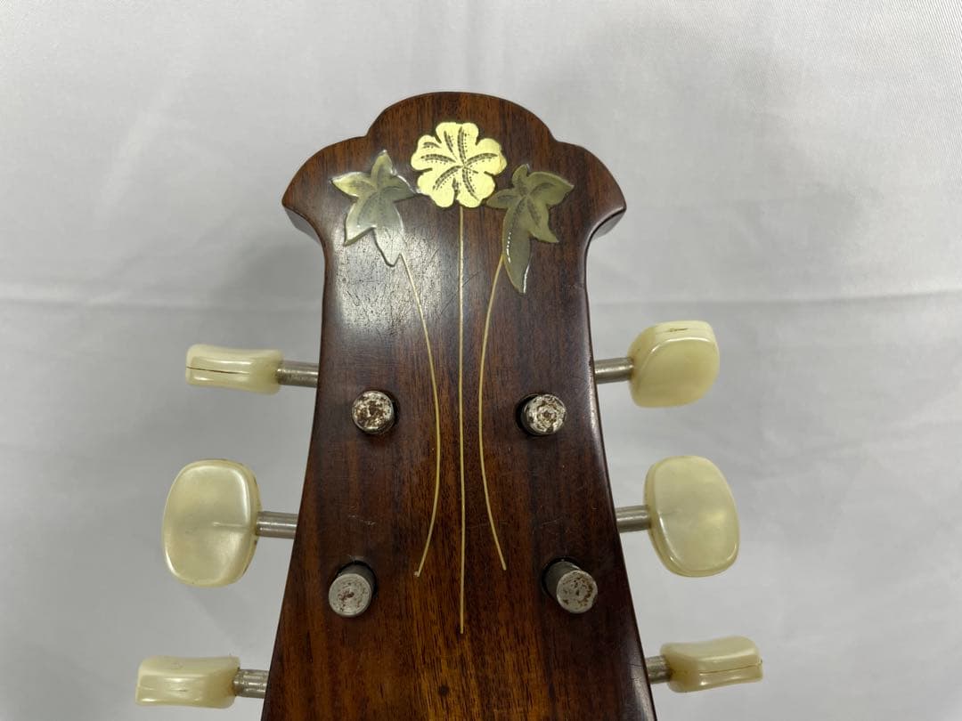 ラファエル・カラーチェ No.13 マンドリン ジャンク品