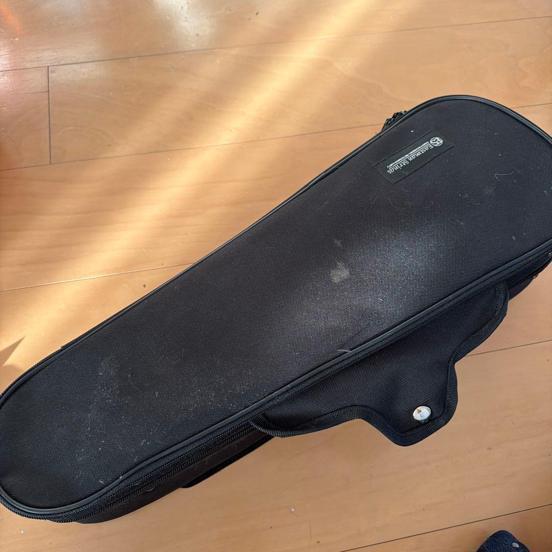 Eastman VL80 1/10 バイオリン本体 ケース付き