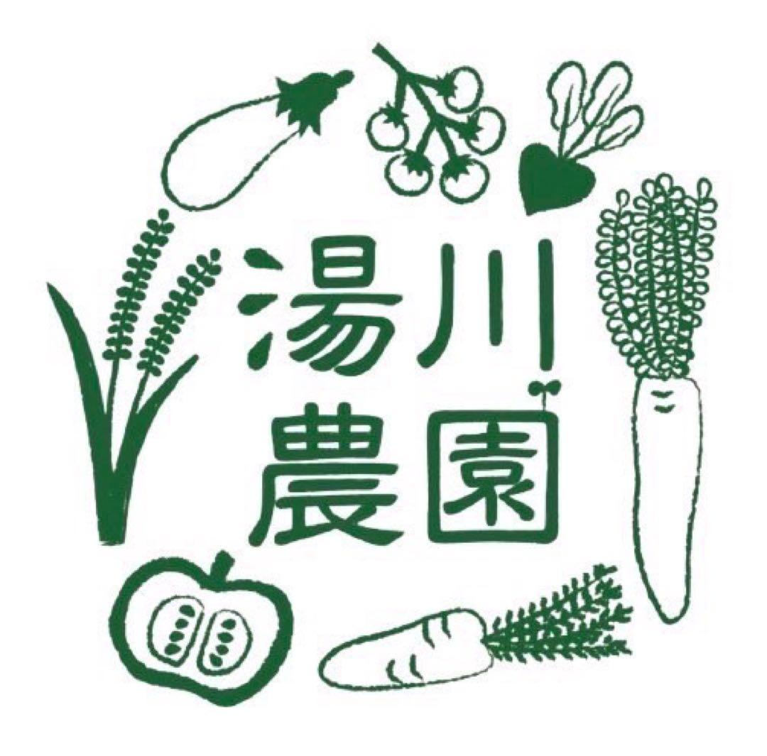 KNY★鑑定済み★