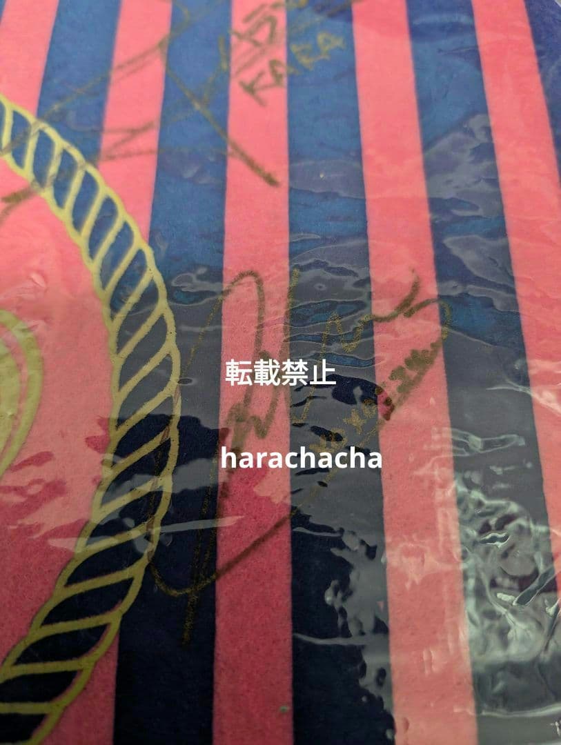 KARA KARASIA ショッピングバッグ　直筆サイン入り