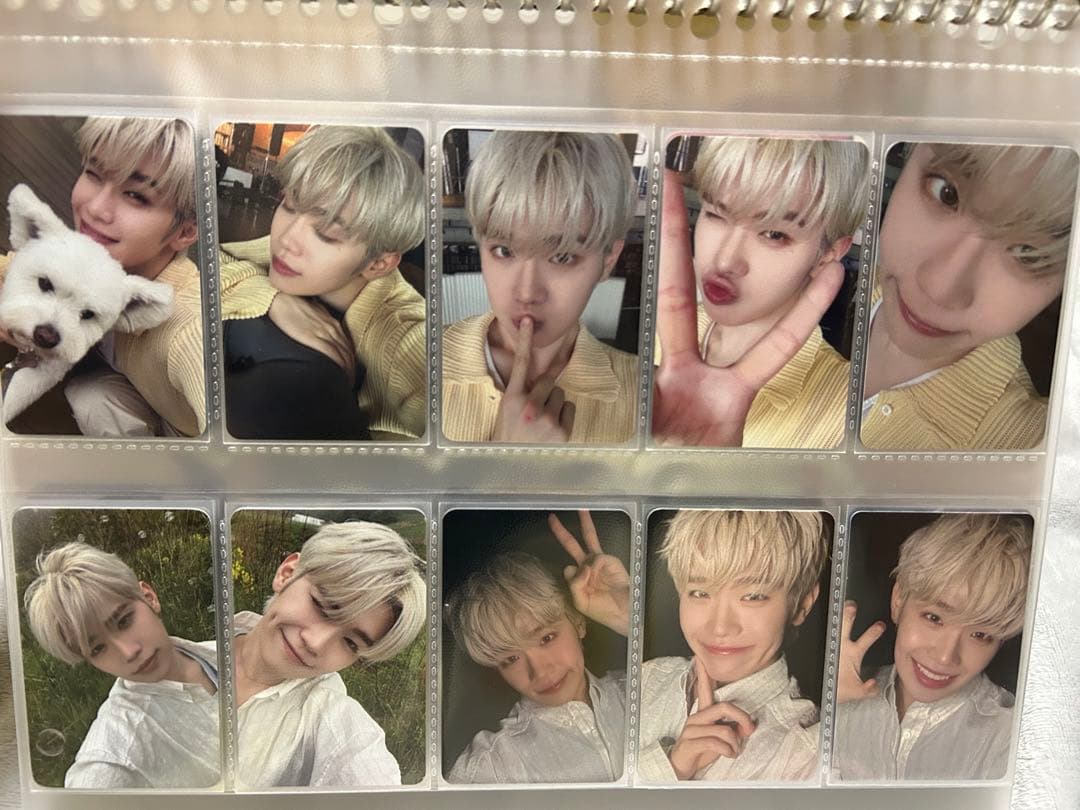 テレ トレカ まとめ売り ゼベワン ZB1 - メルカリ