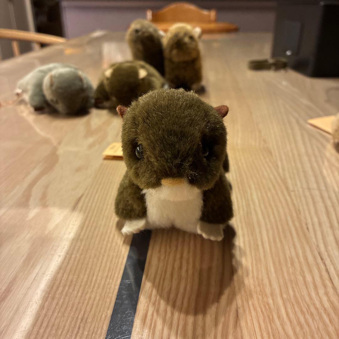 やまね工房　ぬいぐるみセット　おまけナキウサギ付