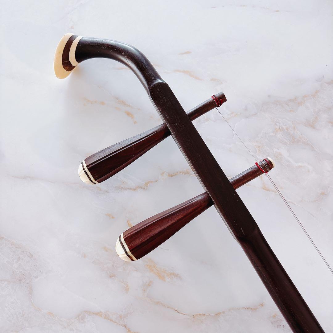 【超訳あり】　二胡　ハードケース付き