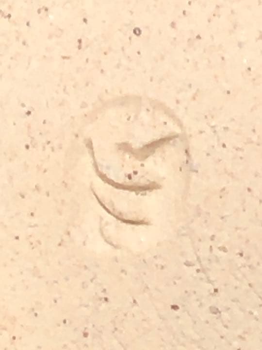 【茶道具】陽炎園 膳所焼灰細色絵松苗茶碗 茶碗A336