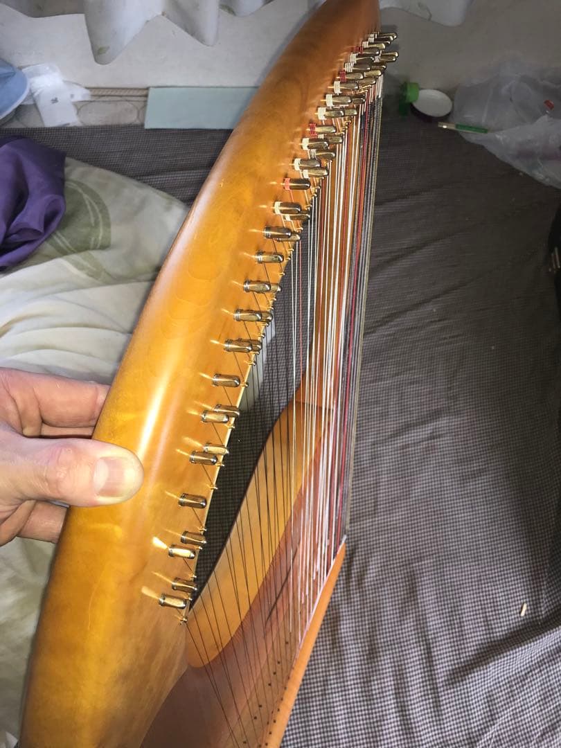 最終値下げ　19日発送　ゲルトナーテノーラライアー46弦