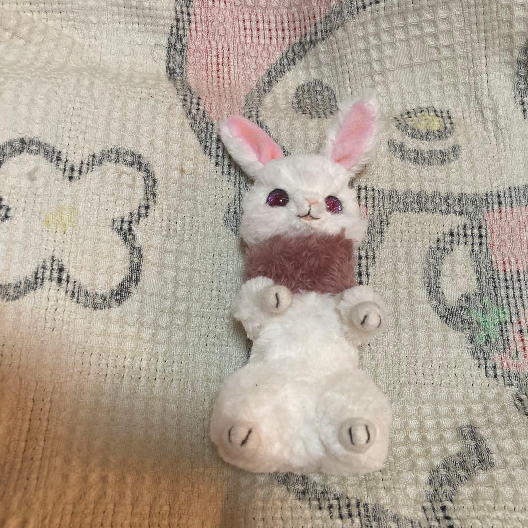 ぬいぐるみ作家 作家名不明 兎 アートドール ぬいぐるみ 中古品 - メルカリ