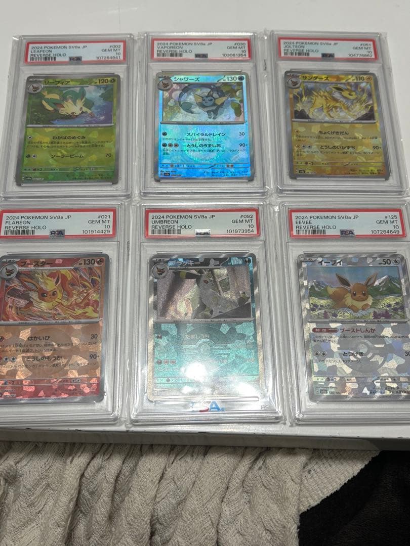 ブイズ　モンスターボールミラー　セット