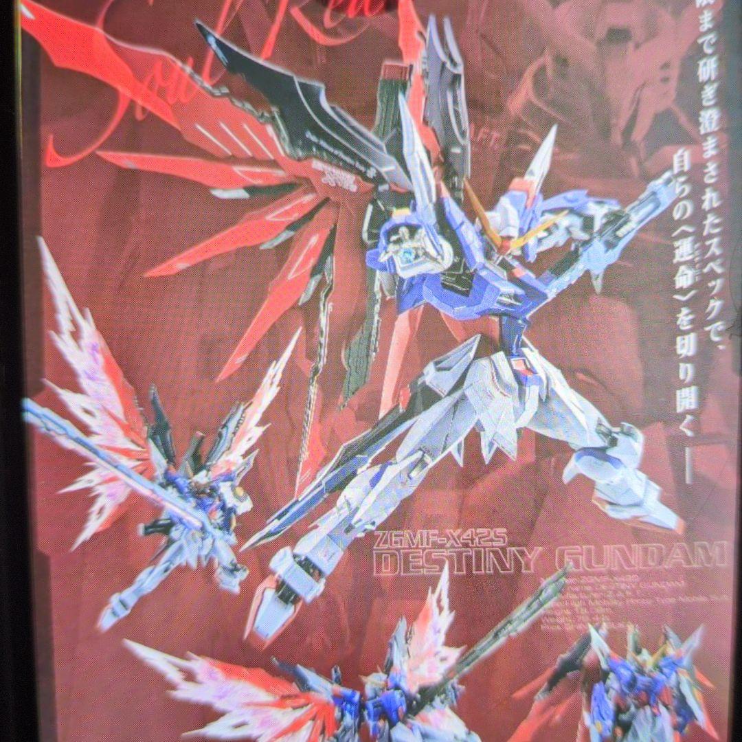メタルビルド。ディスティニーガンダム.SOＵL.RED魂ネーション2020。