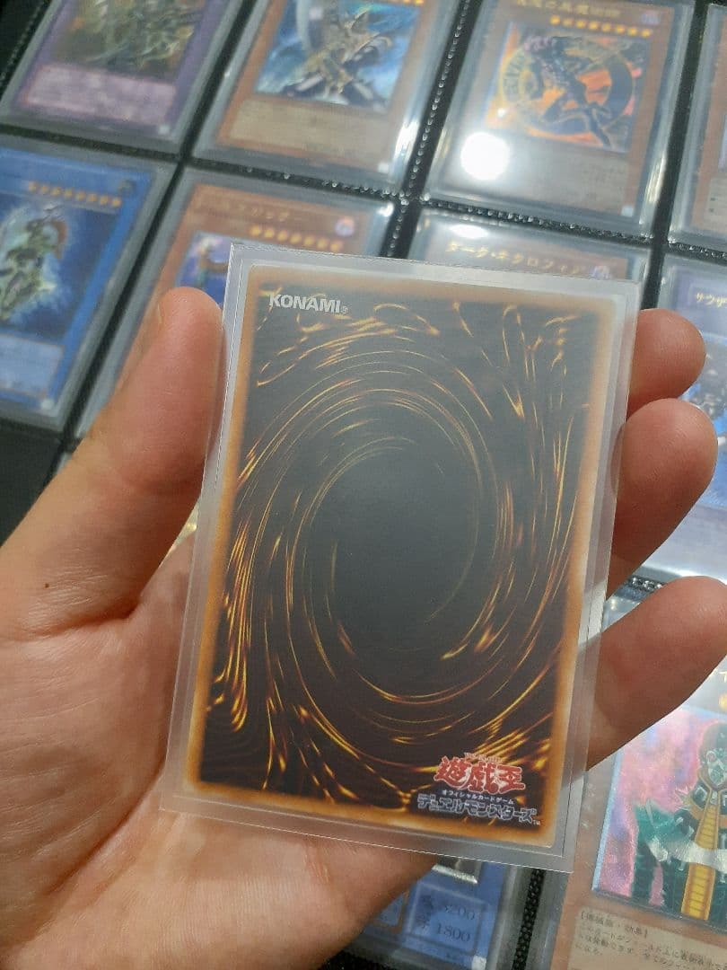 遊戯王 ダーク・ネクロフィア