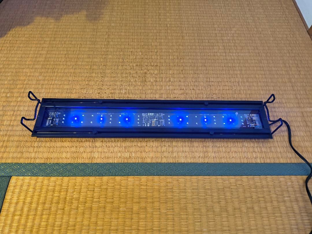 Grassy Wing2 60 Marine/グラッシーウィング2 60マリン