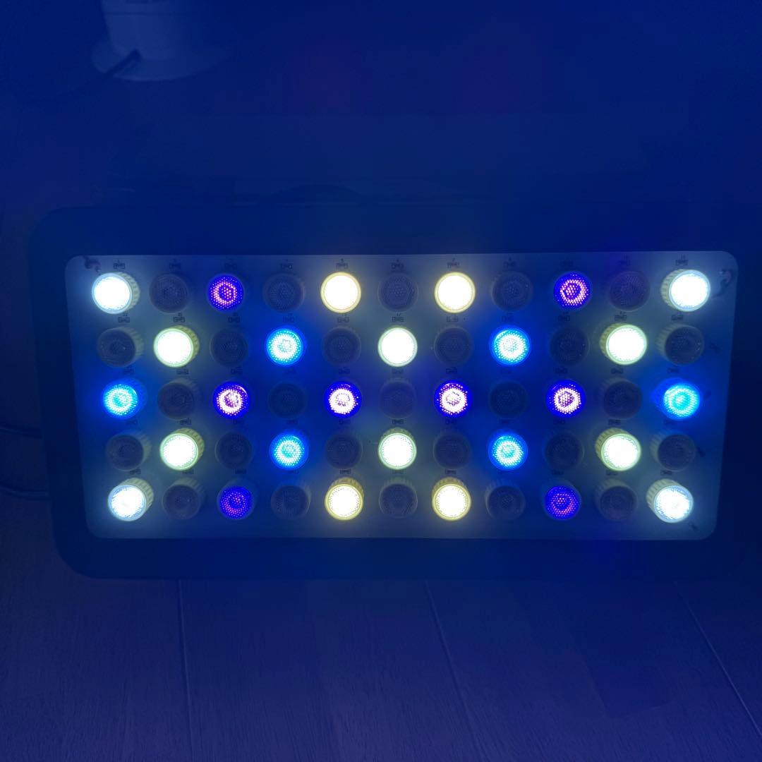 ブラックボックス ニッソータイマーのセット