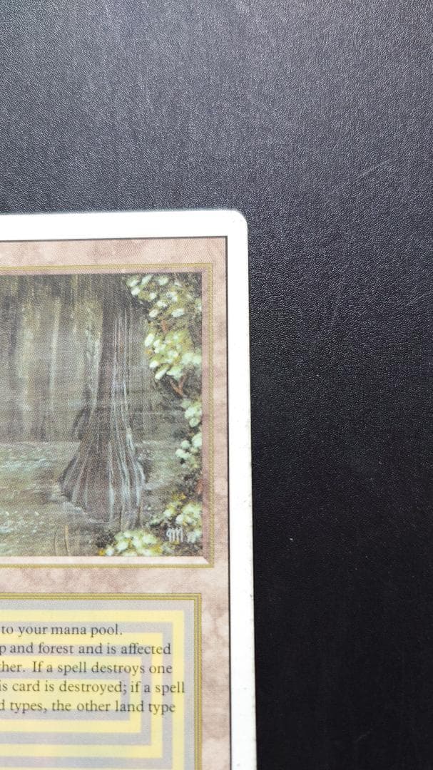 Bayou リバイズド・エディション 3ED