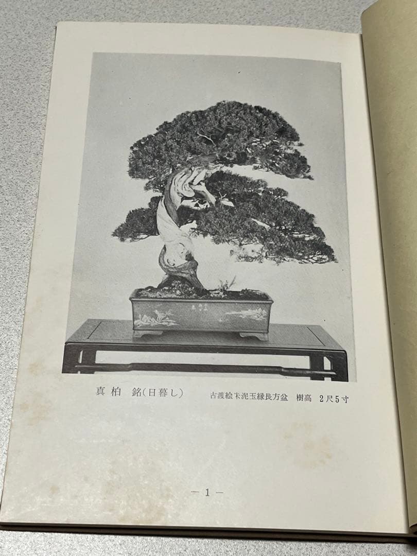 記念帖 盆栽 盆栽鉢 水石