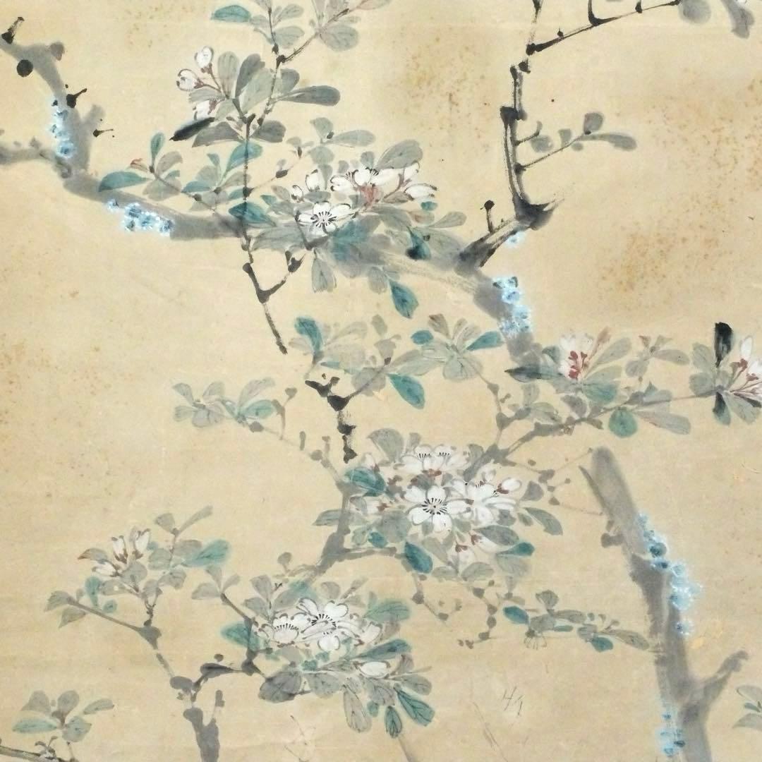 2077様感謝‼️風かほる‼️肉筆　掛け軸　「桜にすずめ」吉田公均　作　春彼岸