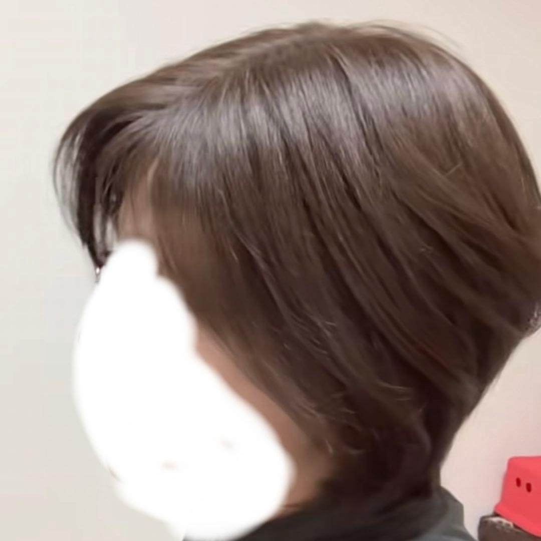 3Dウィッグ 百合子ウィッグレミー人毛100% サイズＬ