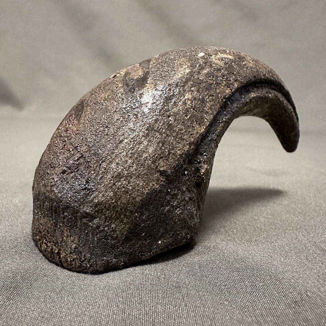 カルカロドントサウルス ハンドクロウ 獣脚類 かぎ爪 化石 肉食恐竜 1402