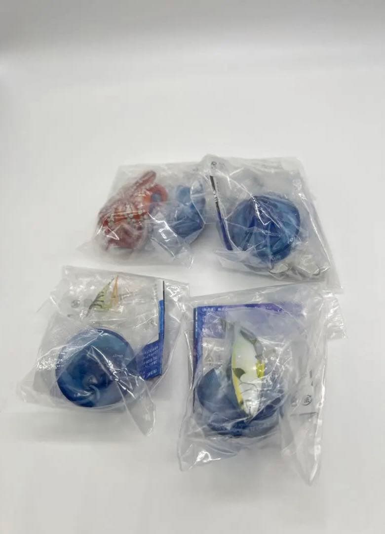 日本水族館立体生物図録6