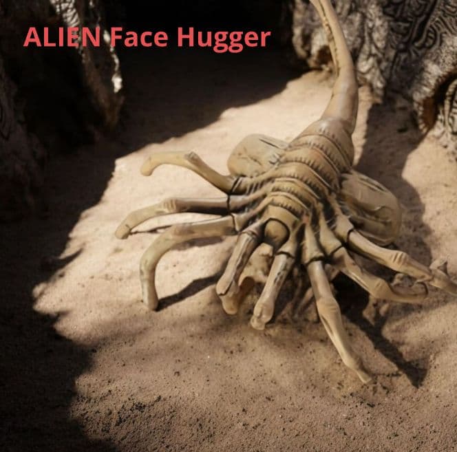 ★未使用 エイリアン フェイスハガー フィギュア 超リアル！ ALIEN レア品
