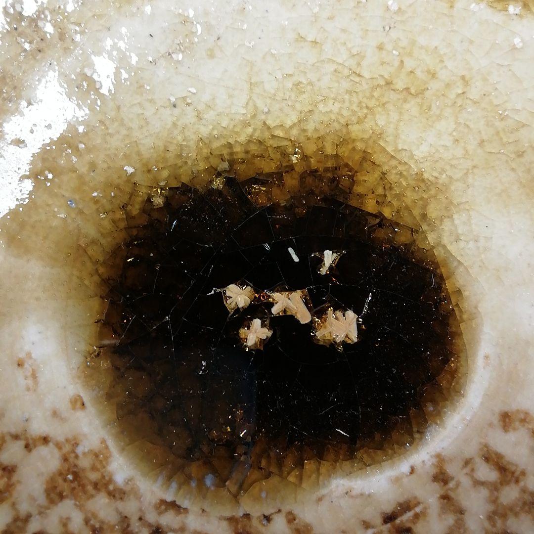 T15 茶碗 『美濃伊賀 茶碗』『ガンジャラ窯 高森鵬翔』 共箱 抹茶碗