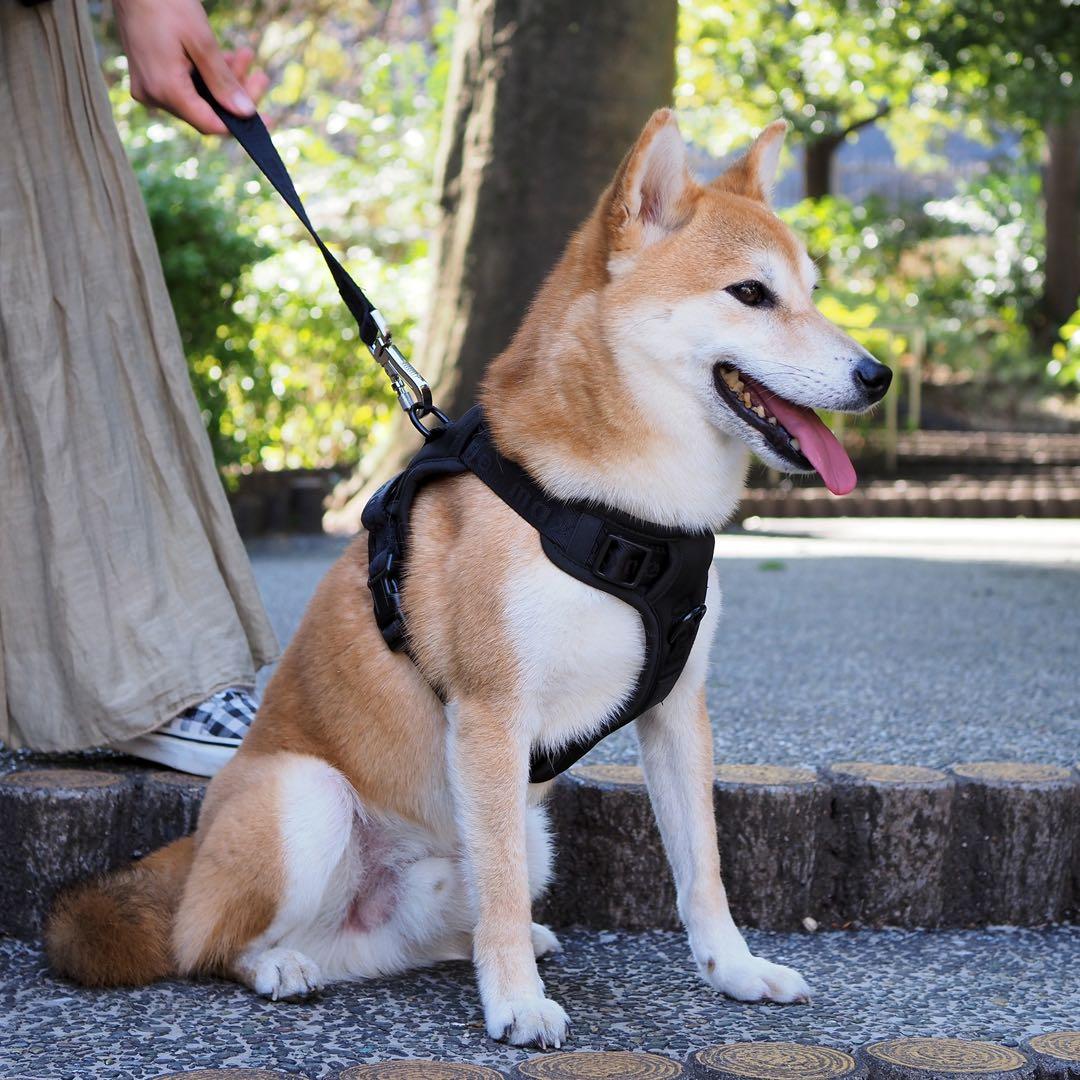 新品】ハーネス/max-bone/ブラックSサイズ/ラグジュアリーブランド