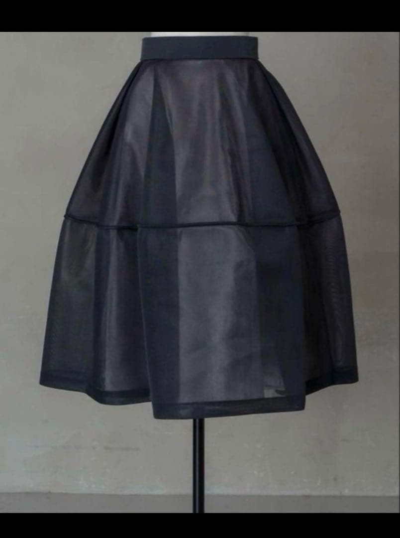 りーちゃん　Lig. sheer volume skirt