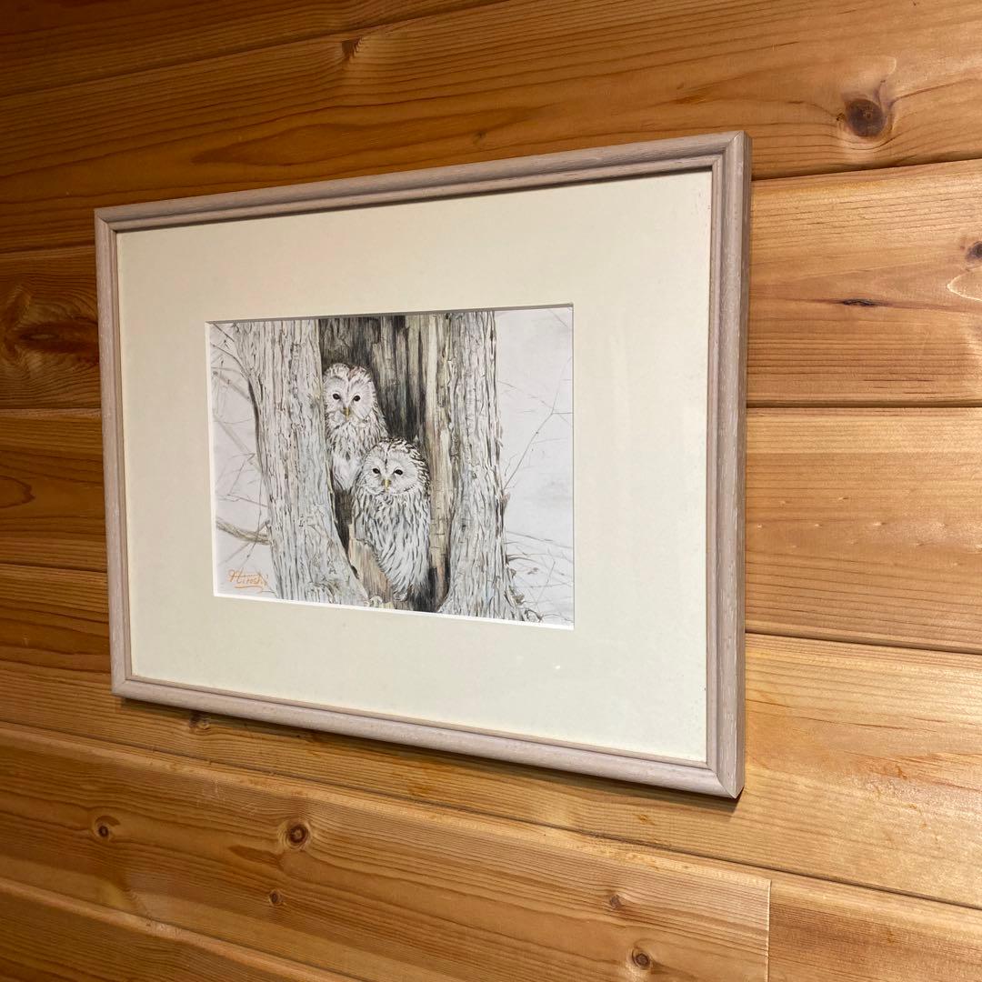 フクロウ(カップル)色鉛筆画