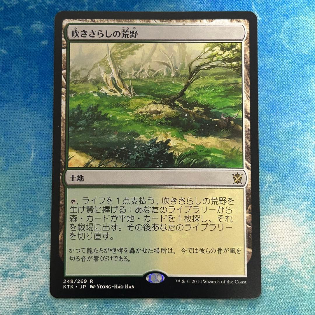 吹きさらしの荒野 4枚セット MTG
