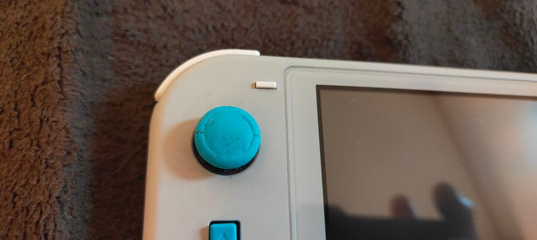 Nintendo Switch NINTENDO SWITCH LITE ザ…